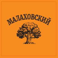 Логотип клиента ВЭД СТАР 5